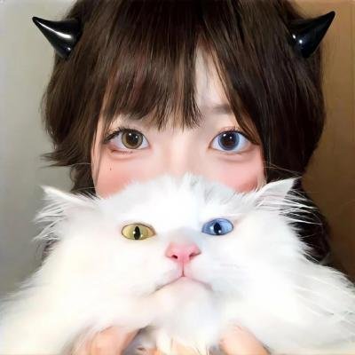 汽车女窃贼